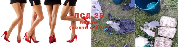 гашик Баксан