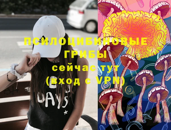 мет Аркадак