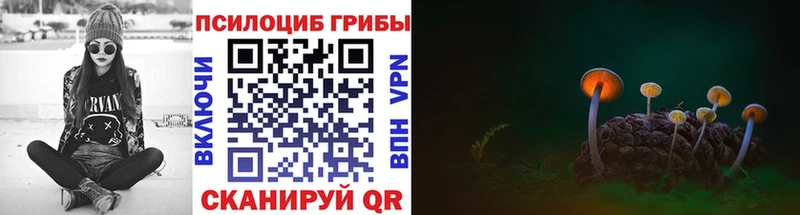 даркнет сайт  Белозерск  Псилоцибиновые грибы Magic Shrooms 